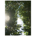 e3fa597c-158e-439a-94bb-60e0a8d475e8