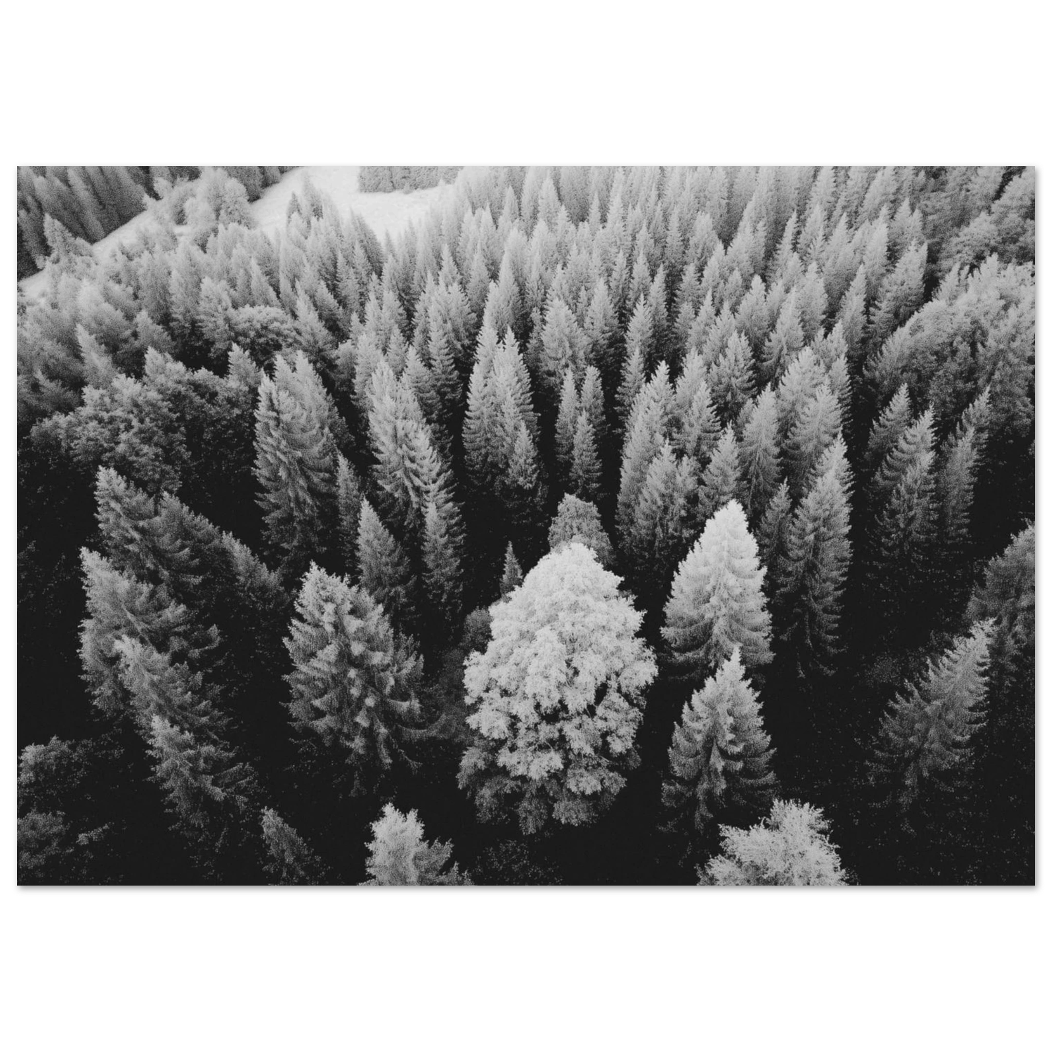 e8759ea2-8d13-433e-88b9-f8da1a3ac059