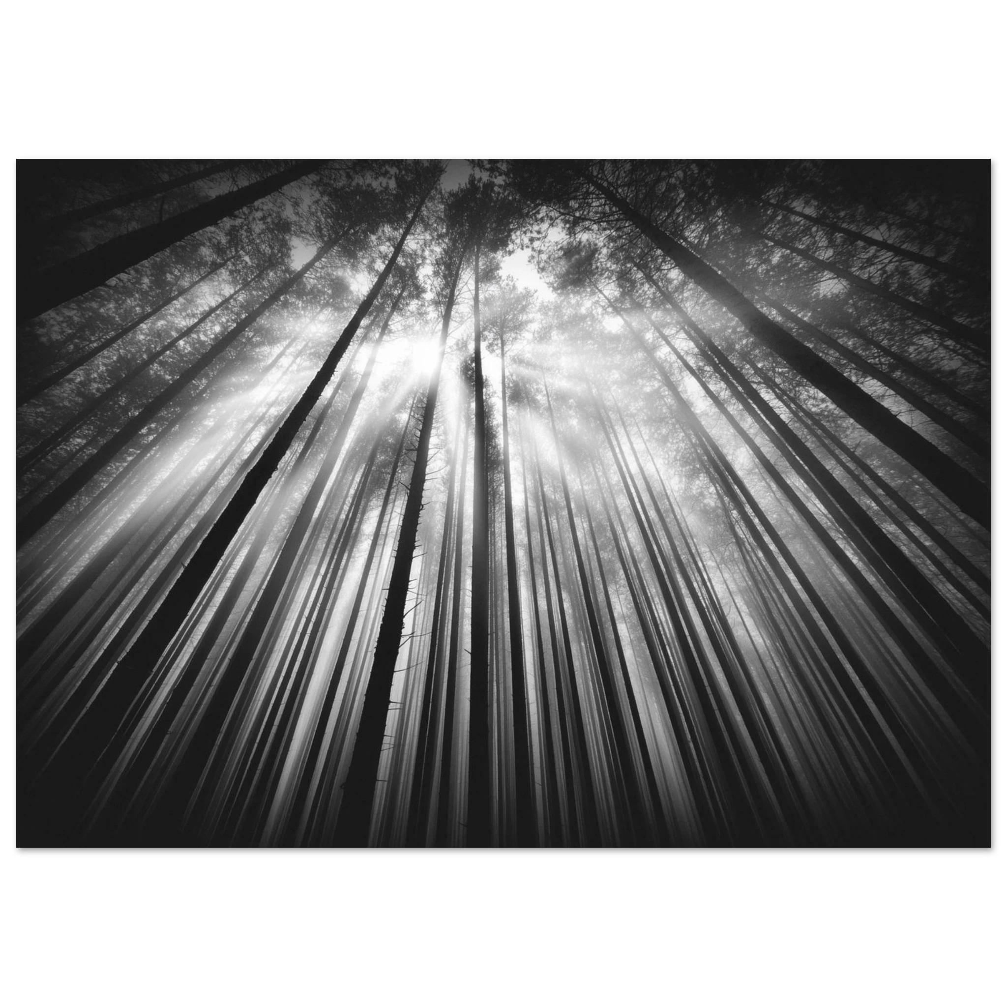 e8c0a9cd-28f2-47de-8aaf-14ec8ec6c821