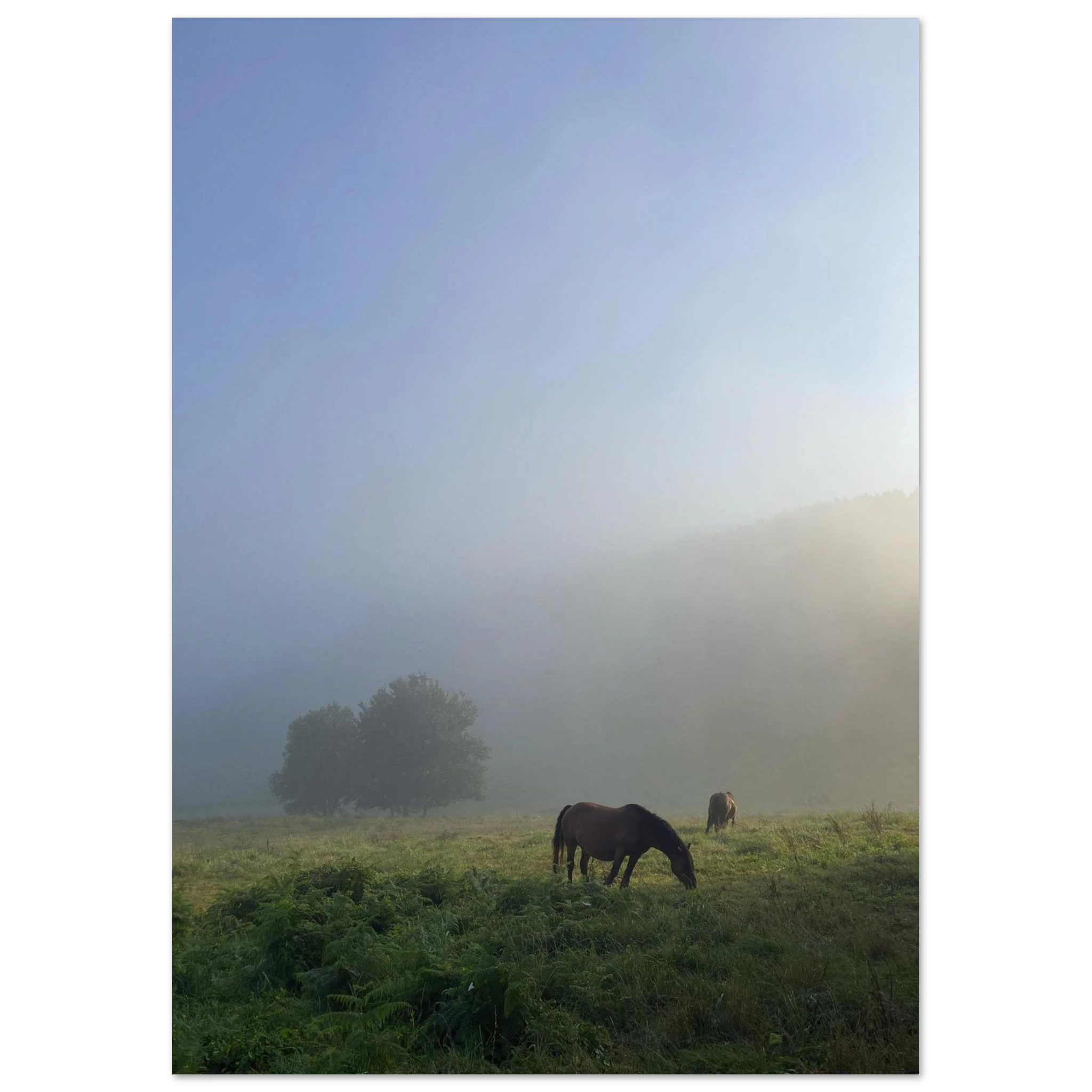 ebb5d168-efea-4ff2-89f5-ff75c71543d1