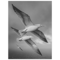 f09bec9a-4234-4bb5-b3cc-2117d77e2830