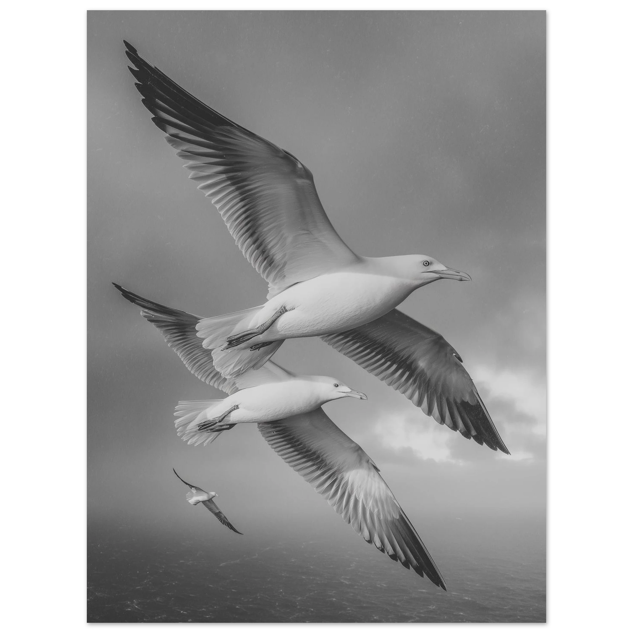 f09bec9a-4234-4bb5-b3cc-2117d77e2830