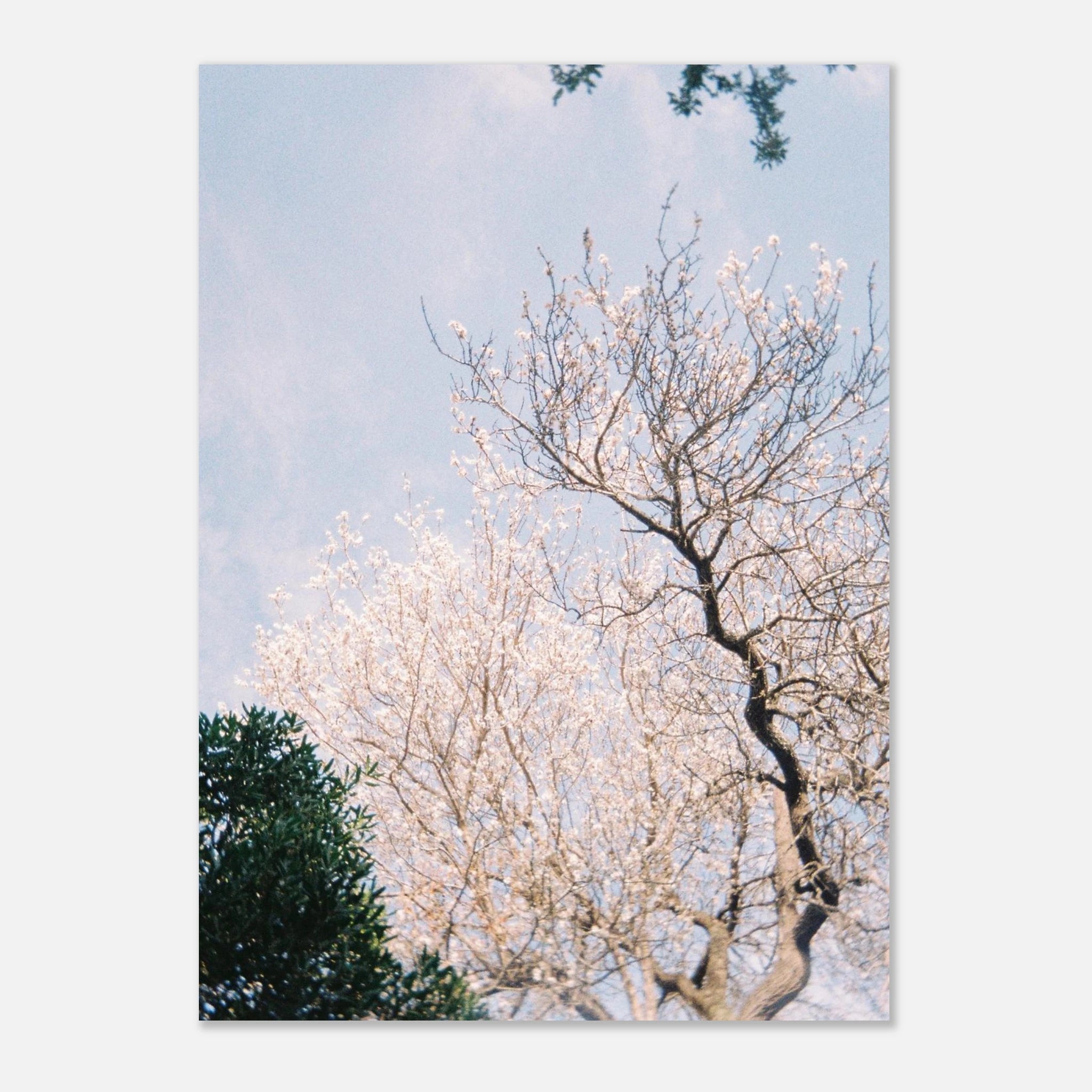 f907a55f-ddde-4e13-9d98-047cf8d6ecd9